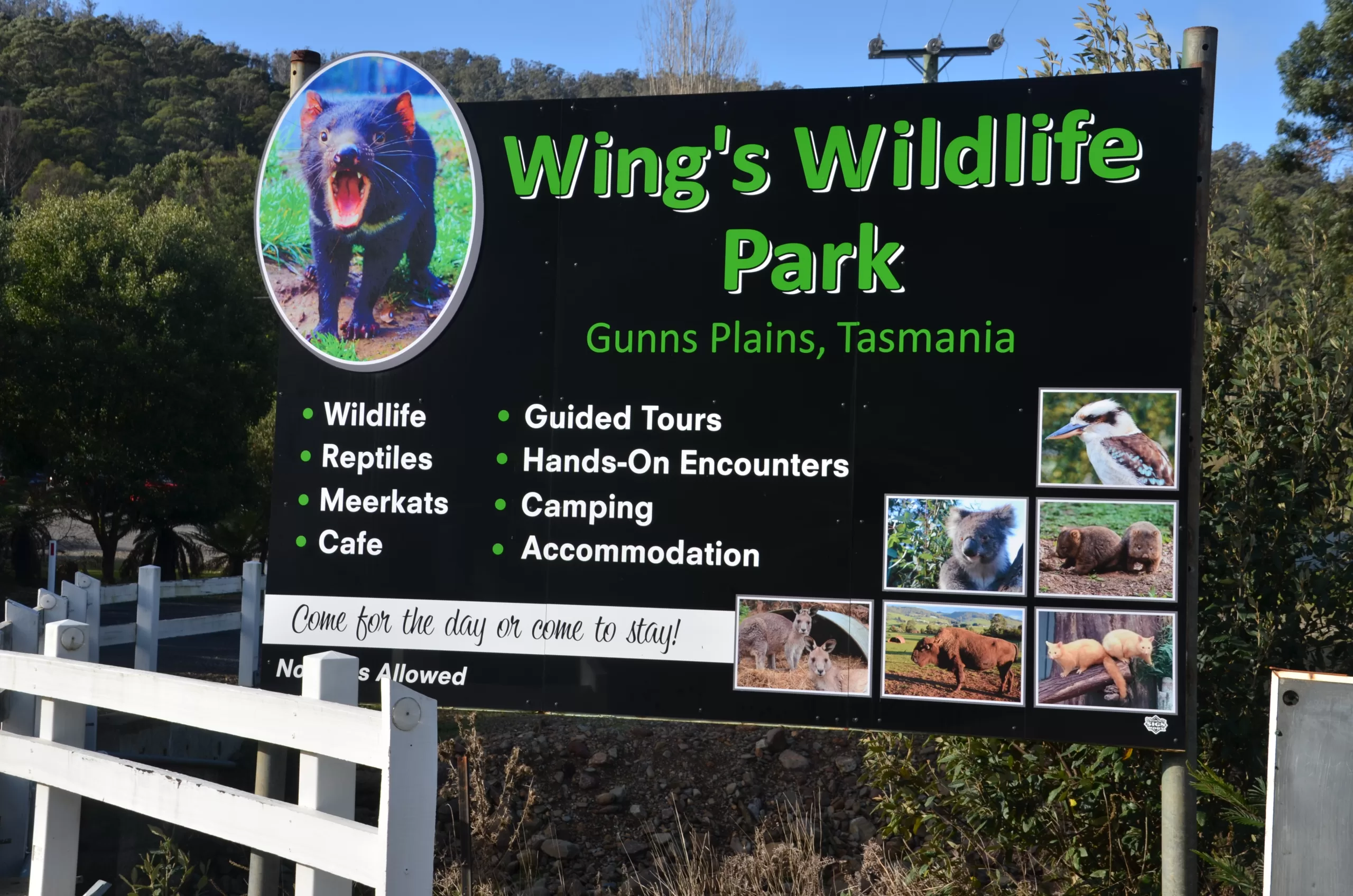 Wings Wildlife Park
